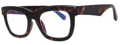 Eclectic (Clear Lens Blue-Light Computer Glasses)